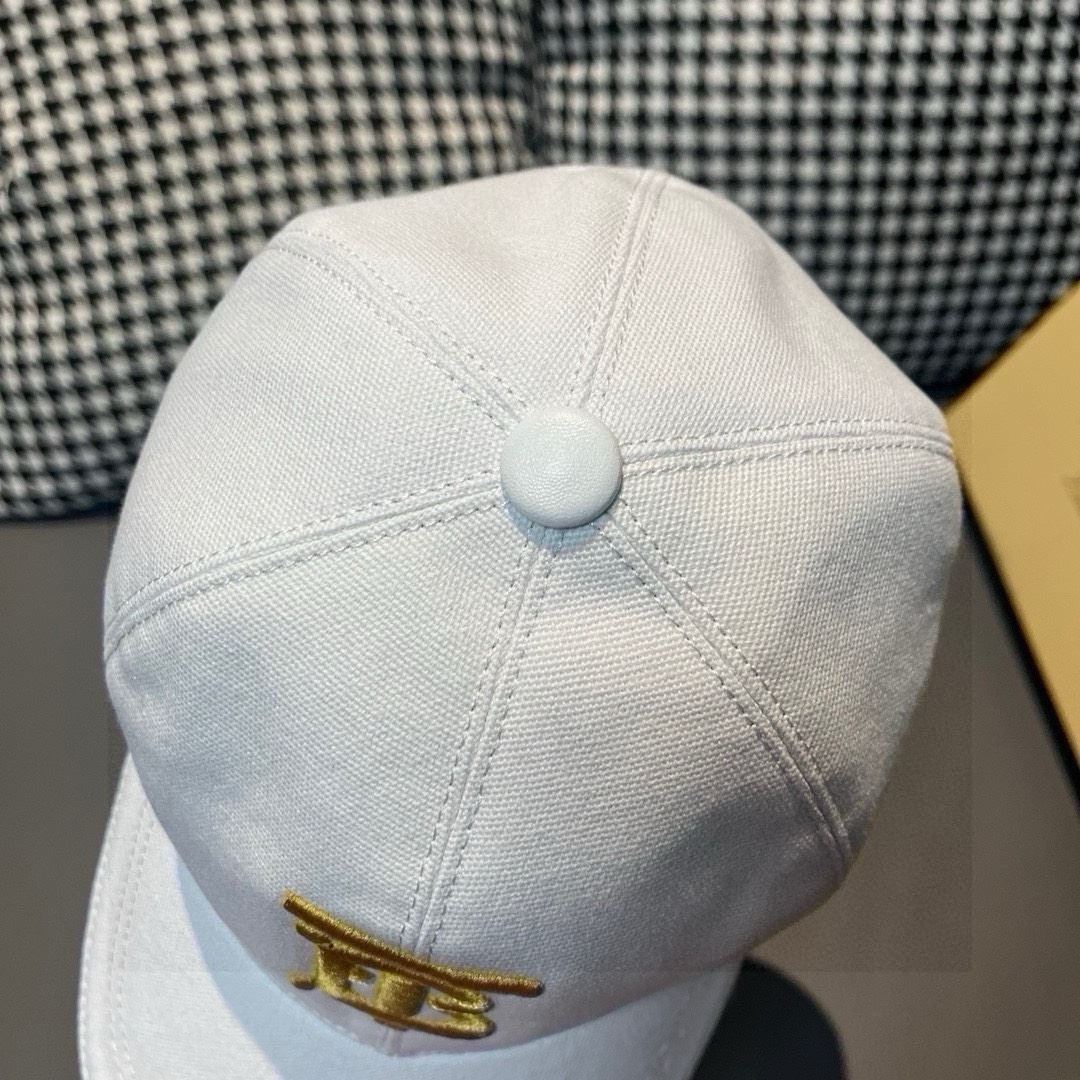 Burberry Caps